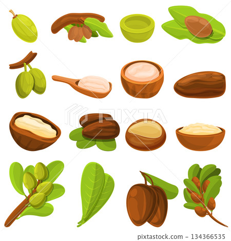 Shea tree icons set, cartoon style 134366535