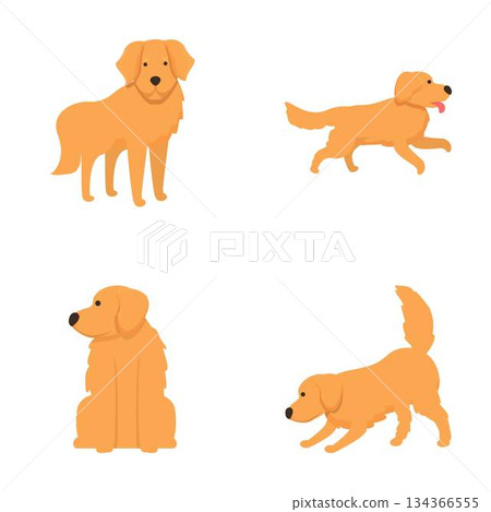 Golden retriever dog illustrations in various poses 134366555