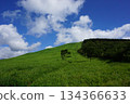 Oguni Fuji and Mount Wakui stock photos 134366633