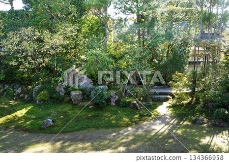 Garden scenery of a Zen temple in Kyoto 134366958