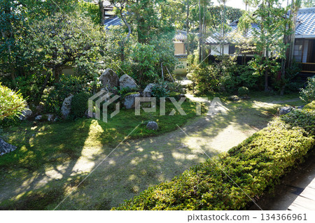 Garden scenery of a Zen temple in Kyoto Garden scenery of a Zen temple in Kyoto 134366961