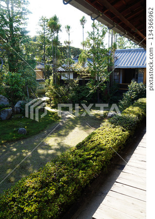 Garden scenery of a Zen temple in Kyoto Garden scenery of a Zen temple in Kyoto 134366962