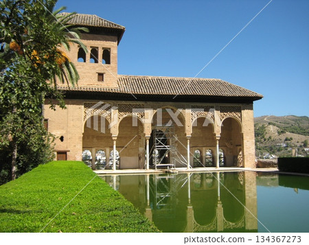 View of the Partal Gardens of the Alhambra 134367273