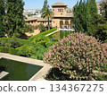 View of the Partal Gardens of the Alhambra 134367275