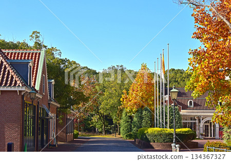 主題樂園裡的歐式秋季紅葉景色 134367327