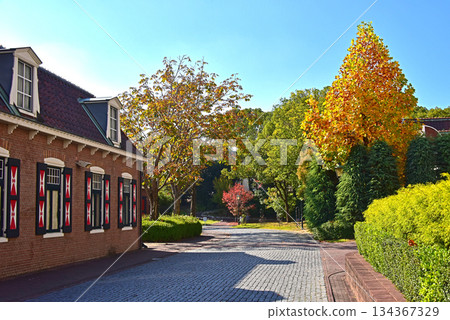 European-style autumn foliage scenery at a theme park 134367329