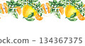Pomelo citrus fruit watercolor hand painted 134367375