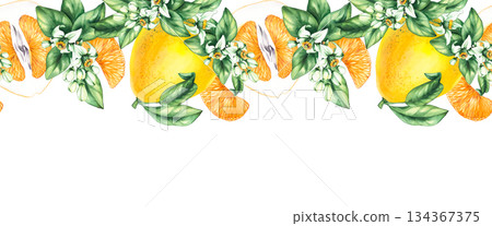 Pomelo citrus fruit watercolor hand painted Pomelo citrus fruit watercolor hand painted 134367375
