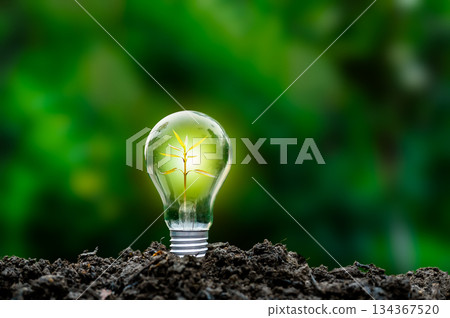 Renewable energy concept Earth Day or environment protection Hands protect forests that grow on the ground and help save the world. Renewable energy concept Earth Day or environment protection Hands protect forests that grow on the ground and help save the world. 134367520