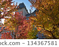 European-style autumn foliage scenery at a theme park 134367581