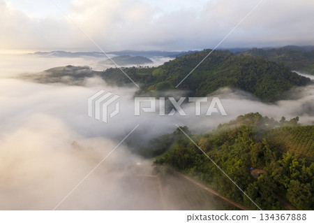 Landscape of Morning Mist with Mountain Layer. mountain ridge and clouds in rural jungle bush forest Landscape of Morning Mist with Mountain Layer. mountain ridge and clouds in rural jungle bush forest 134367888
