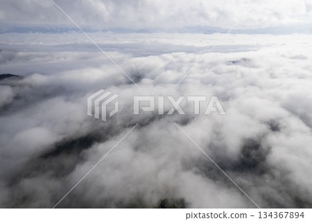 Landscape of Morning Mist with Mountain Layer. mountain ridge and clouds in rural jungle bush forest 134367894