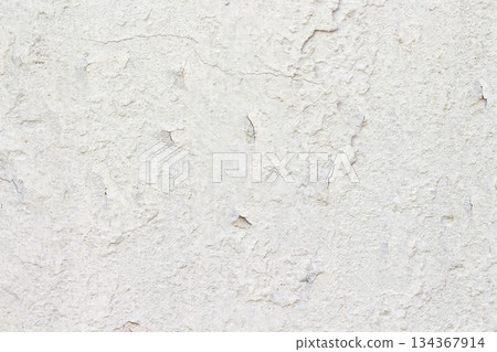 Light Gray Stucco Wall Texture. Abstract Background 134367914