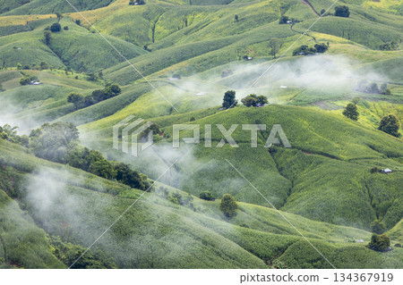 Landscape of Morning Mist with Mountain Layer. mountain ridge and clouds in rural jungle bush forest Landscape of Morning Mist with Mountain Layer. mountain ridge and clouds in rural jungle bush forest 134367919