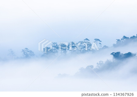 Landscape of Morning Mist with Mountain Layer. mountain ridge and clouds in rural jungle bush forest Landscape of Morning Mist with Mountain Layer. mountain ridge and clouds in rural jungle bush forest 134367926