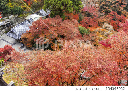 Sunrise over Sanjunoto pagoda and Kiyomizu-dera Temple in the autumn season, Kyoto, Japan 134367932
