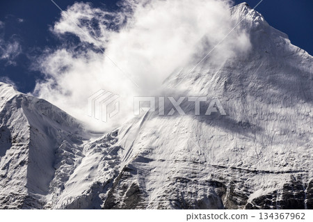 Colorful in autumn forest and snow mountain at Yading nature reserve, The last Shangri la 134367962
