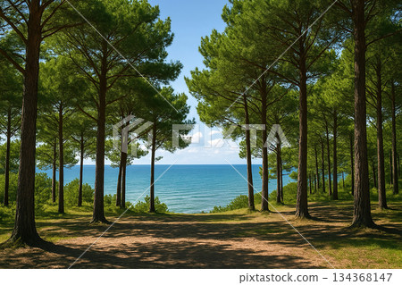 可以看到大海的公園 134368147