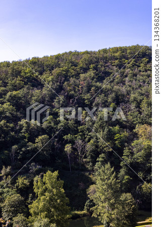 Esch-sur-Sure, Wiltz, Grand-Duche de Luxembourg, September 07, 2025, Sunshine illuminates dense 134368201