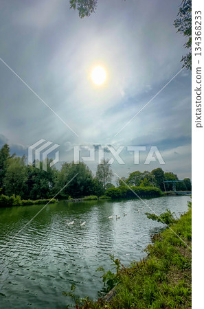 Gleaming ripples under warm midday sun with lush surroundings Gleaming ripples under warm midday sun with lush surroundings 134368233