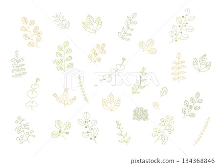 簡單的植物手繪插圖 2 簡單的植物手繪插圖 2 134368846