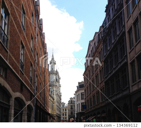 Belgium Brussels cityscape Belgium Brussels cityscape 134369112