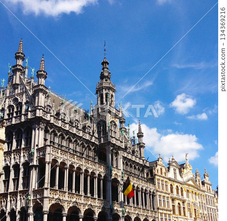 比利時 布魯塞爾城市景觀 134369216