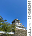 Kokura Castle and fresh greenery in Kitakyushu City, Fukuoka Prefecture, against the blue sky 134369266