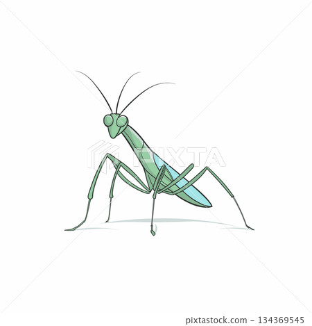 A cartoon Praying Mantis with long antennae and slender legs stands upright. The insect is shaded in green with blue highlights on its abdomen, on a plain white background. 134369545
