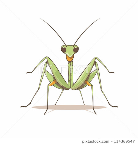 A cartoon of a praying mantis stands with its front legs raised and bent. The insect is green with orange segments and antennae. It stands on a white background with a shadow. 134369547