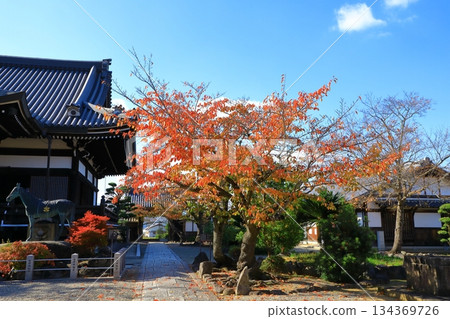 Asuka Village - Autumn leaves at Tachibana Temple Asuka Village - Autumn leaves at Tachibana Temple 134369726