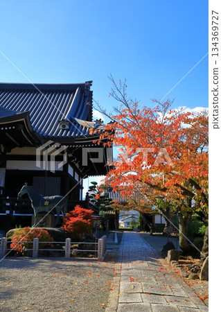 飛鳥村 - 橘寺的秋葉 飛鳥村 - 橘寺的秋葉 134369727