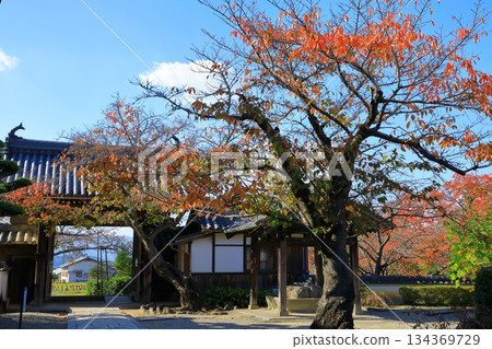 Asuka Village - Autumn leaves at Tachibana Temple 134369729