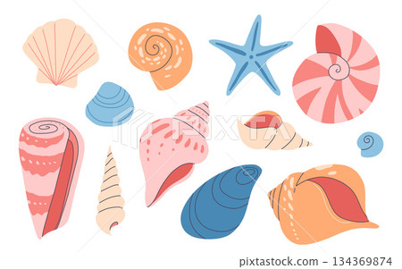 Sea shell cartoon set. Ocean exotic underwater seashell conch aquatic mollusk, sea spiral snail collection. Tropical beach shells. Modern flat style isolated on white background. Vector illustration 134369874