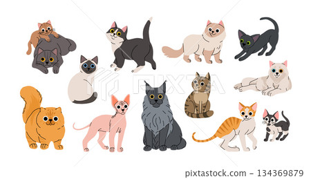 Cute cartoon cat breeds set. Adorable domestic cats sitting, standing. Fluffy birman, oriental, cornish rex, maine coon, sphynx, siamese, shorthair, persian. Lovely kitten flat vector collection. 134369879