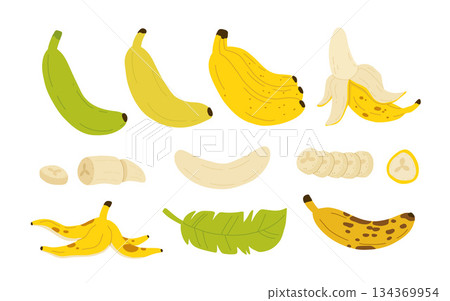 Banana ripeness stages. Different organic fruit peel color from green to brown, organic rotten and fresh ripe fruit. Vegetarian healthy food vector set of banana ripen and rot stage illustration 134369954