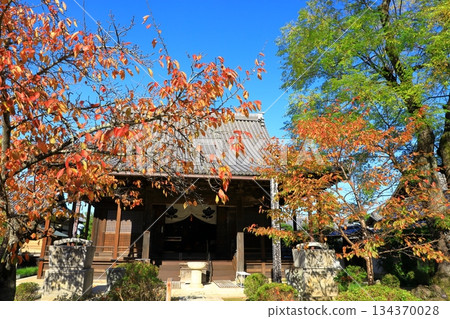 Asuka Village - Autumn leaves at Tachibana Temple Asuka Village - Autumn leaves at Tachibana Temple 134370028