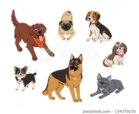 Dogs in motion set. Different canine breeds. Active puppies labrador retriever, beagle, shih tzu, chihuahua, bulldog shepherd and pug. Flat vector illustrations isolated on white background Dogs in motion set. Different canine breeds. Active puppies labrador retriever, beagle, shih tzu, chihuahua, bulldog shepherd and pug. Flat vector illustrations isolated on white background 134370230