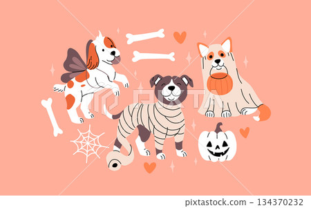 Adorable dogs in Halloween costumes with bones, big spider web and jack o lantern pumpkin. Flat cartoon illustration with cute dogs. 134370232