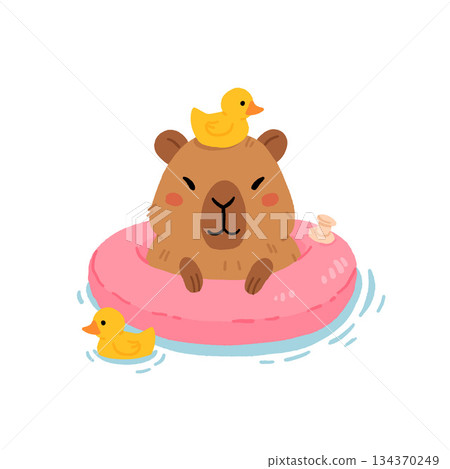 Funny summer capybara floating on inflatable ring. Cute rodent with rubber duck on head sitting in water puddle. Childish mascot, wild exotic animal rest, vector character 134370249