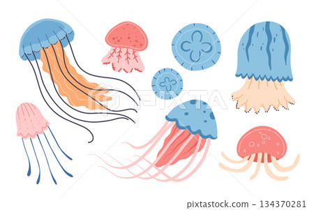 Set of various Cartoon jellyfish flat style. Medusa vector illustration. Modern flat illustration Jellyfish isolated on white background. 134370281
