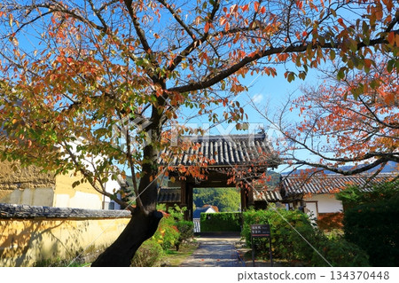 Asuka Village - Autumn leaves at Tachibana Temple 134370448