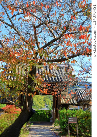 Asuka Village - Autumn leaves at Tachibana Temple Asuka Village - Autumn leaves at Tachibana Temple 134370451