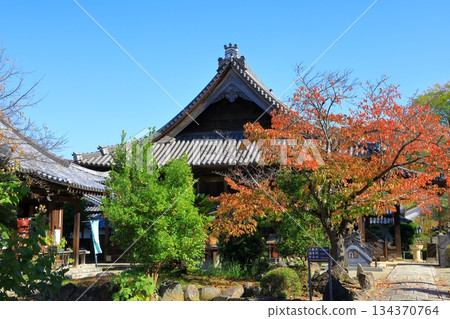 飛鳥村 - 橘寺的秋葉 飛鳥村 - 橘寺的秋葉 134370764
