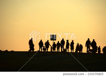 Silhouettes Walking by the Sea at Sunset. 134370805