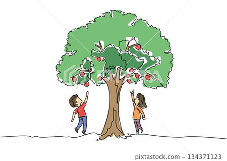 Continuous one line drawing boy and girl jump to reach the fruit on the big tree. Shady trees, time to harvest fruit. Scramble to pick fruits. Tree Concept. Single line draw design vector illustration Continuous one line drawing boy and girl jump to reach the fruit on the big tree. Shady trees, time to harvest fruit. Scramble to pick fruits. Tree Concept. Single line draw design vector illustration 134371123