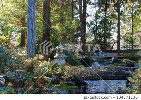 神社內的花園景色 134371136
