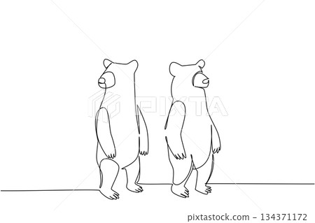 Continuous line drawing of two black bears in outline style, symbolizing nature awareness and conservation, designed as a minimalist artwork for National Black Bear Day, wildlife concept. 134371172