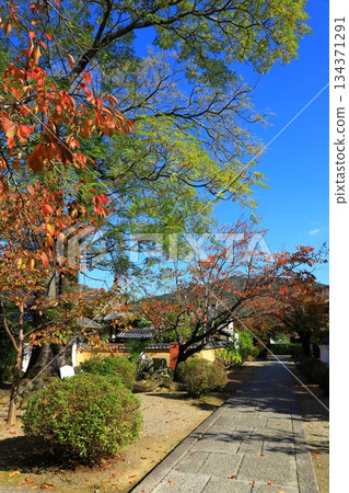 Asuka Village - Autumn leaves at Tachibana Temple Asuka Village - Autumn leaves at Tachibana Temple 134371291