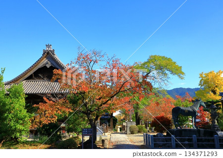 飛鳥村 - 橘寺的秋葉 134371293